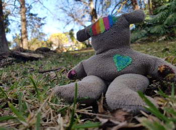 Life story work resources and tools: A think feel do bear sitting on the ground in some woodland