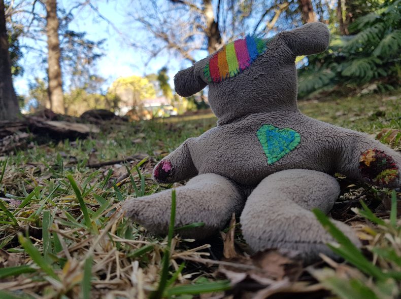 Life story work resources and tools: A think feel do bear sitting on the ground in some woodland