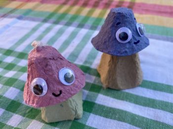 Model mushrooms