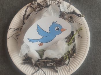 A paper plate made into a birds' nest, with a picture of a bird in the centre and twigs around the outside